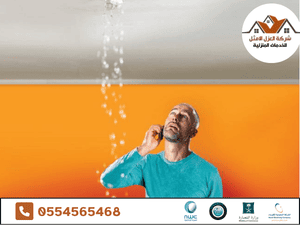 دور شركات العزل المتخصصة والمواد المستخدمة